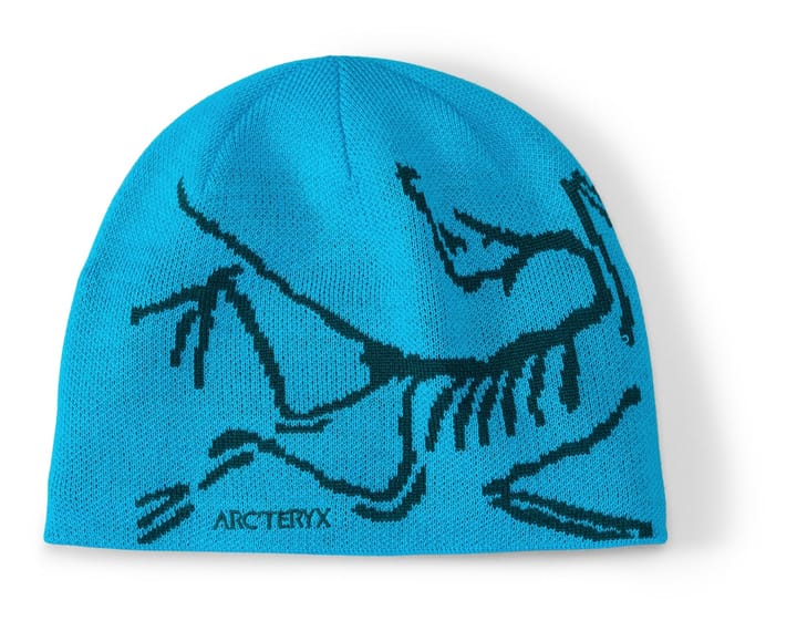 Arc'teryx Word Head Toque Arctic Silk | Fjellsport.no